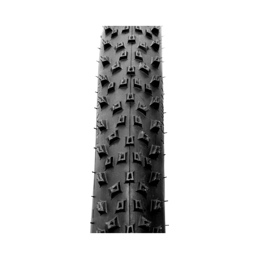 Cubierta Schwalbe SCH213