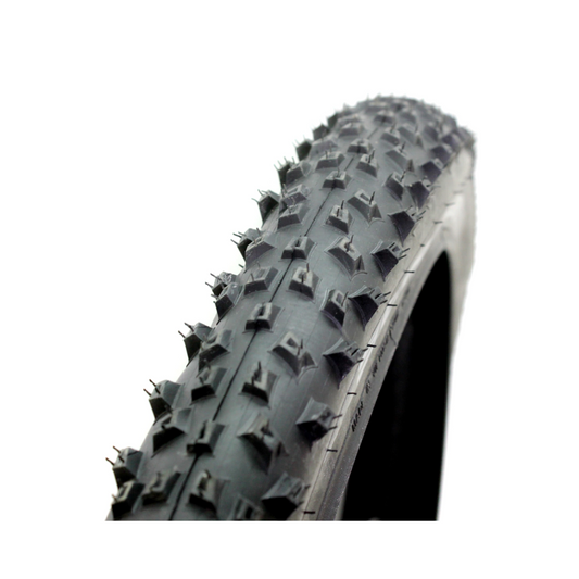 Cubierta Schwalbe SCH213