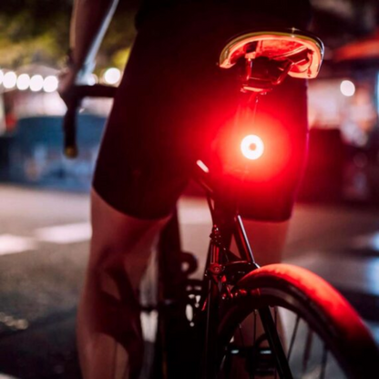 Luz Van Halen VHP850